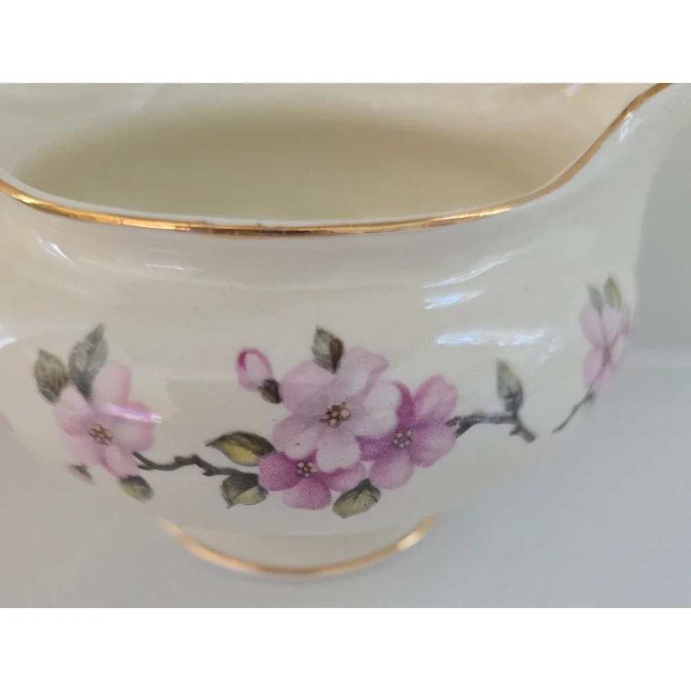 Eggshell Nautilus vintage eggshell